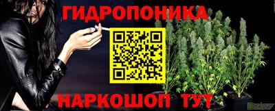 тгк Кинель