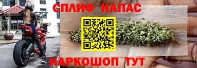 тгк Кинель